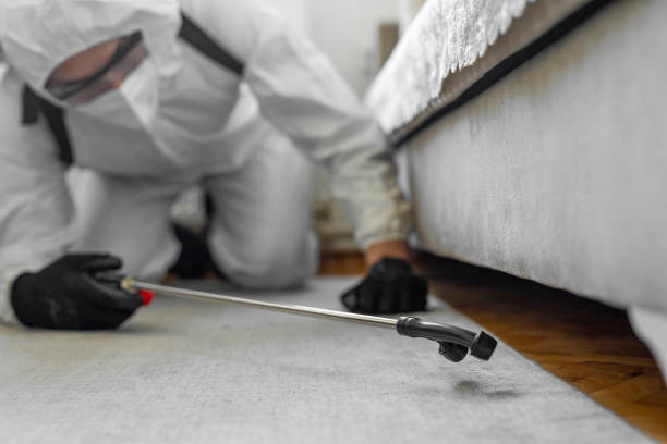 Professional Termite Control technician working in Lone Jack, MO
