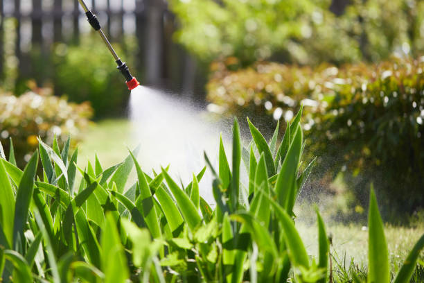 24/7 Emergency Termite Control experts in Lone Jack, MO