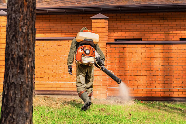 Trusted Rodent Control service in Lone Jack, MO - Nex Pest Control